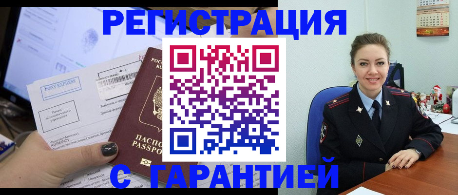 временная регистрация надежно в Камчатской области